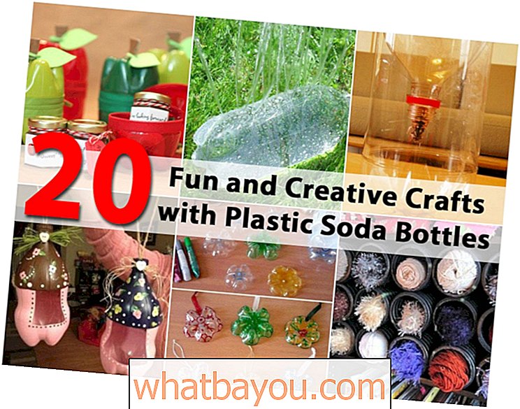 प्लास्टिक सोडा बोतलों के साथ 20 मजेदार और रचनात्मक शिल्प