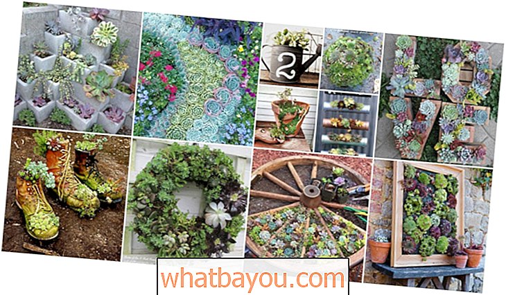 30 Podmanivé zahradě sukulentních zahrad, které můžete snadno kutilství