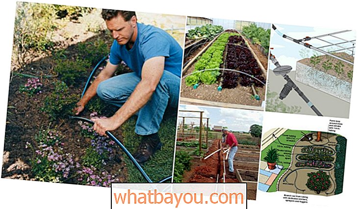 Vrtnarjenje: 16 poceni in enostavno namakalni sistemi za samostojno zalivanje vrta
