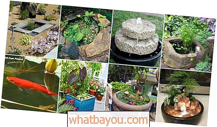 20 bájos és olcsó mini vízkert-ötletek otthona és kertje számára
