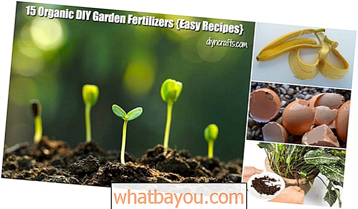 15 Bio-DIY-Gartendünger-Rezepte, die Ihren Garten verschönern
