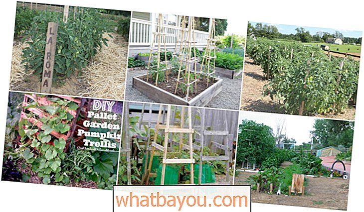 Práce na zahradě: 15 DIY rostlin podporuje a klece, které potřebujete v letní zahradě