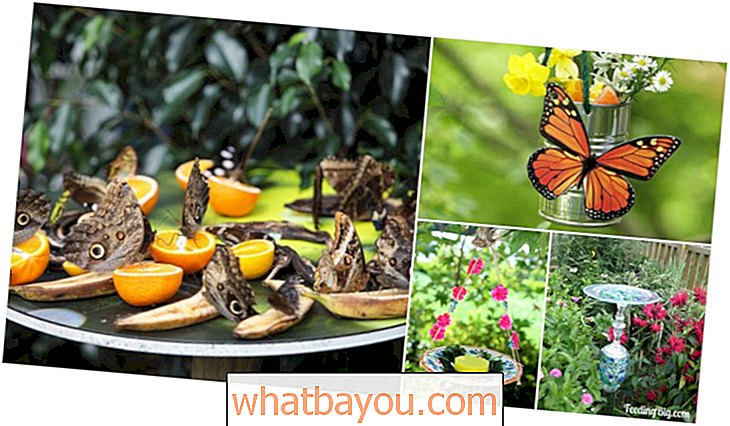 10 DIY-perhosyöttöä, jotka lisäävät kauneutta ja perhosia puutarhaan