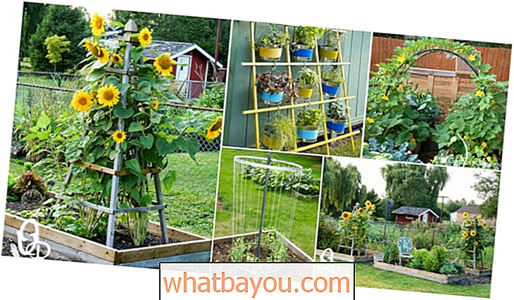 20 einfache DIY-Gitter-Ideen, die Ihrem Garten Charme und Funktionalität verleihen