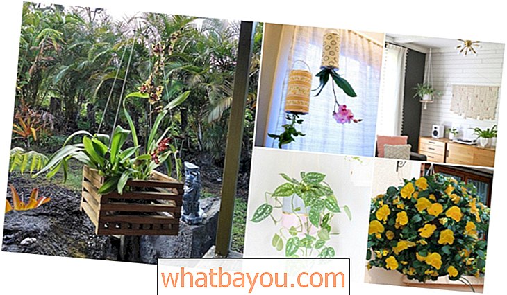 Vrtlarstvo: 20 jeftinih i jednostavnih DIY visećih sadnica koje dodaju lijep stil bilo kojoj sobi