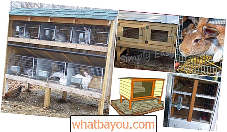 Jardinage: 10 plans de bricolage lapin gratuits qui facilitent la levée des lapins