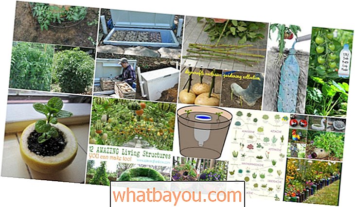 100 strokovnih nasvetov za vrtnarjenje, idej in projektov, ki bi jih moral poznati vsak vrtnar