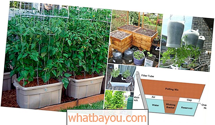 15 „pasidaryk pats“ laistymo sodinukų, kurie palengvina konteinerių sodinimą