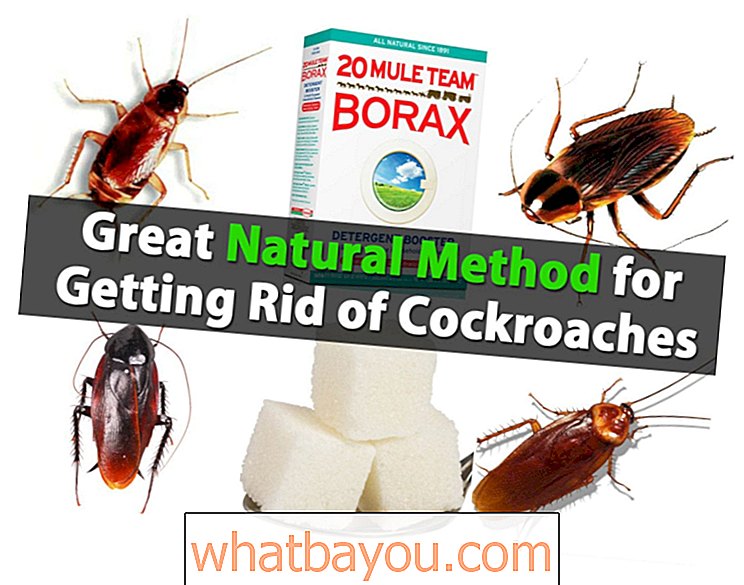 Страхотен естествен метод за освобождаване от хлебарки
