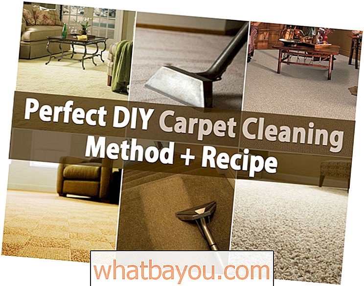 Metode Pembersihan Karpet DIY Sempurna + Resep