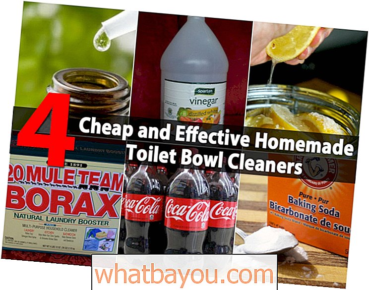4 limpiadores caseros para inodoro baratos y efectivos