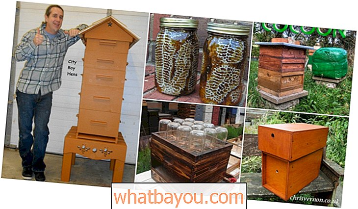 10 Направи си пчелни кошери, които днес можете да добавите към задния си двор