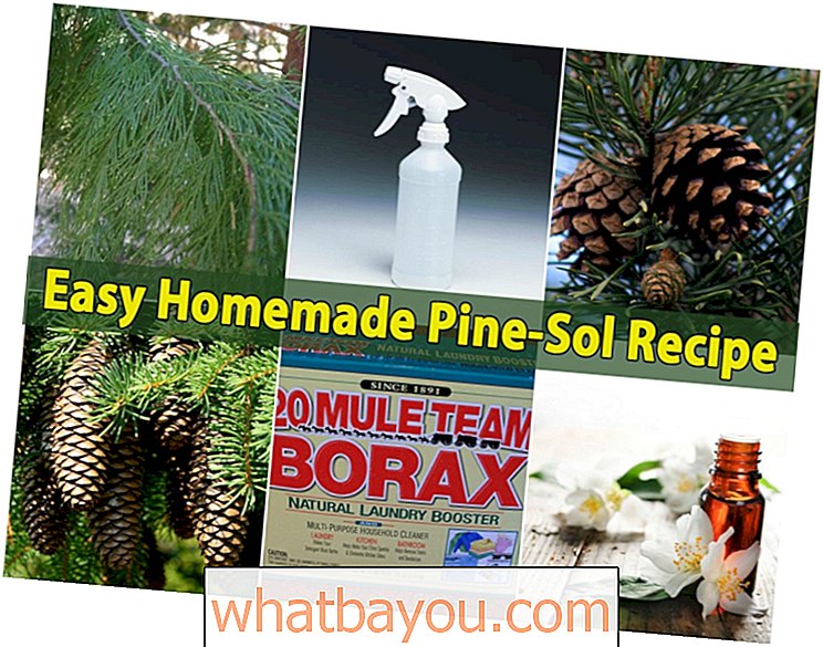 Jednostavan domaći pine-sol {recept}