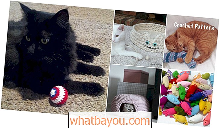 बुनाई और Crocheting: 25 मज़ा और अपनी बिल्ली के लिए आसान Crochet पैटर्न