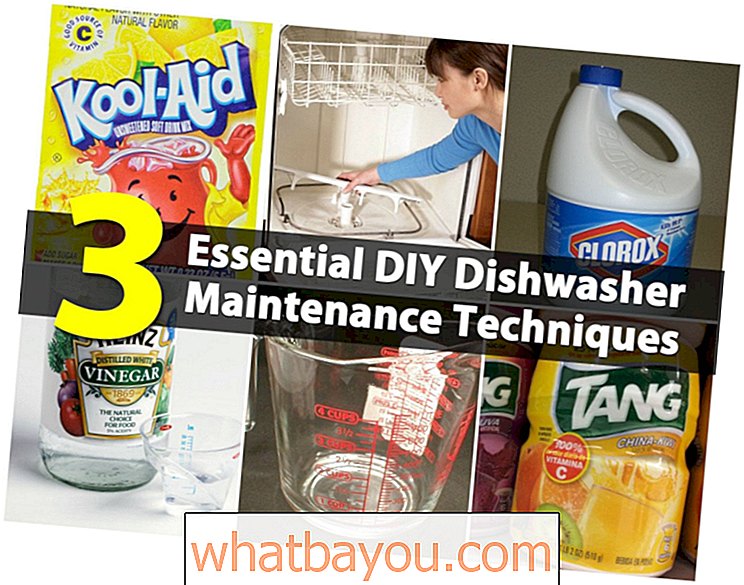 शीर्ष 3 आवश्यक DIY डिशवॉशर रखरखाव तकनीक