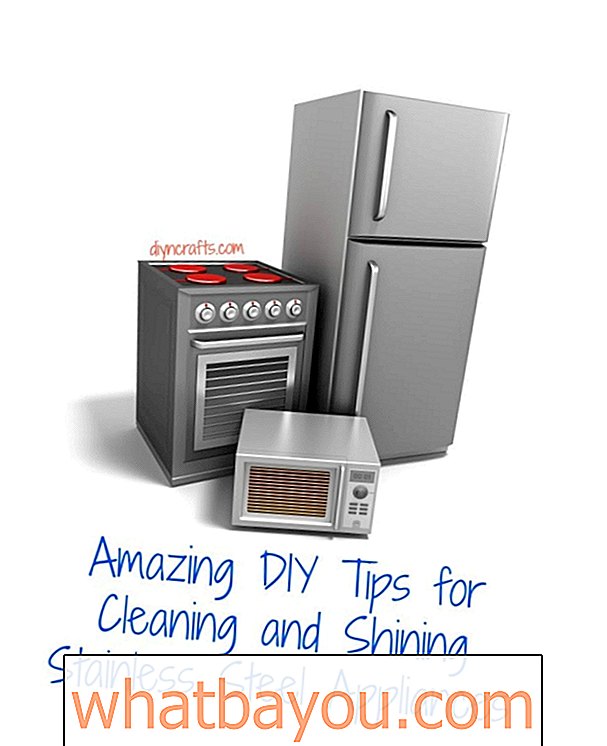 Increíbles consejos de bricolaje para limpiar y brillar electrodomésticos de acero inoxidable