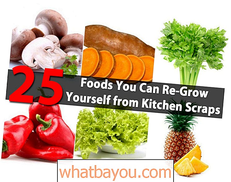 25 намирница које можете поново узгојити из кухињских остатака