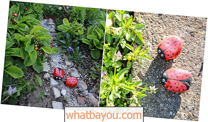 „Pasidaryk pats“ rankomis dažyti ladybug akmenys