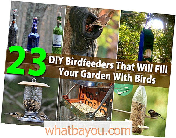23 DIY fuglefeedere som vil fylle hagen din med fugler