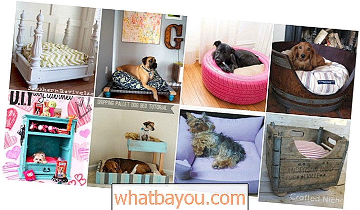 20 легких саморобних ліжок для собак та ящиків, які дозволять вам балувати свого вихованця