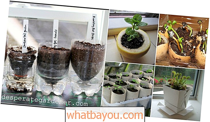 20 macetas de inicio de semillas recicladas que puedes hacer fácilmente en casa