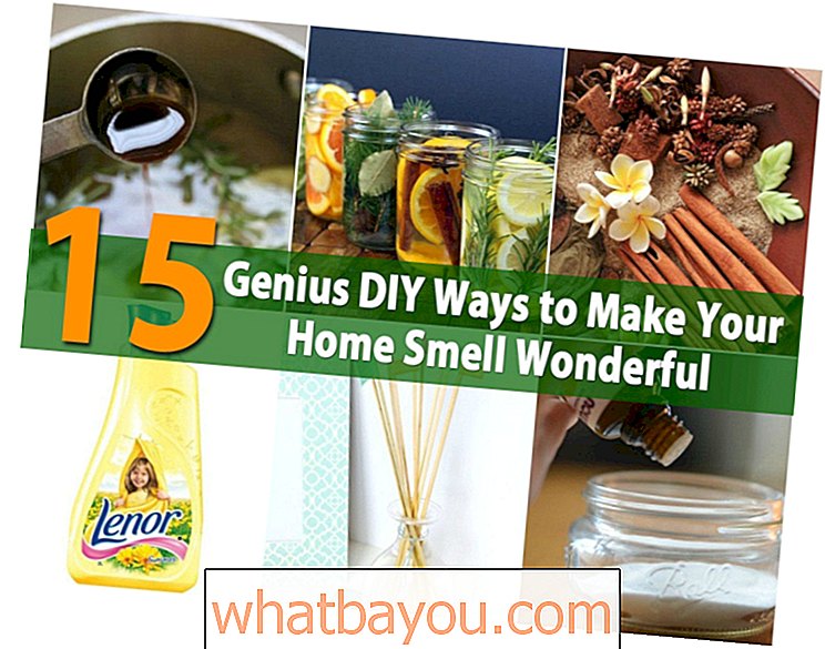 15 דרכים עשה זאת בעצמך לגאוני הבית שלך לריח נהדר